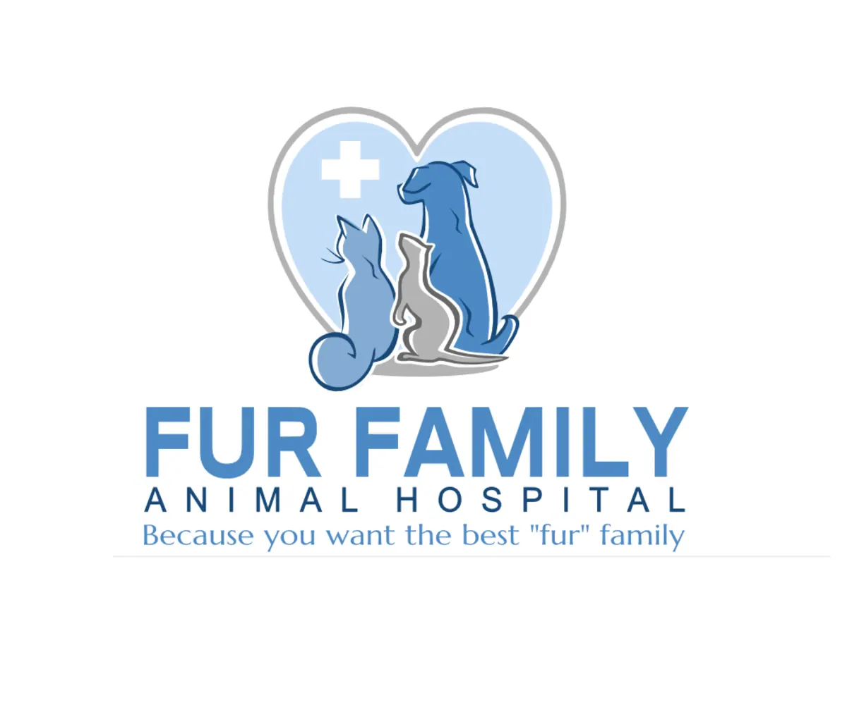 Comfortable exam room at Fur Family Animal Hospital