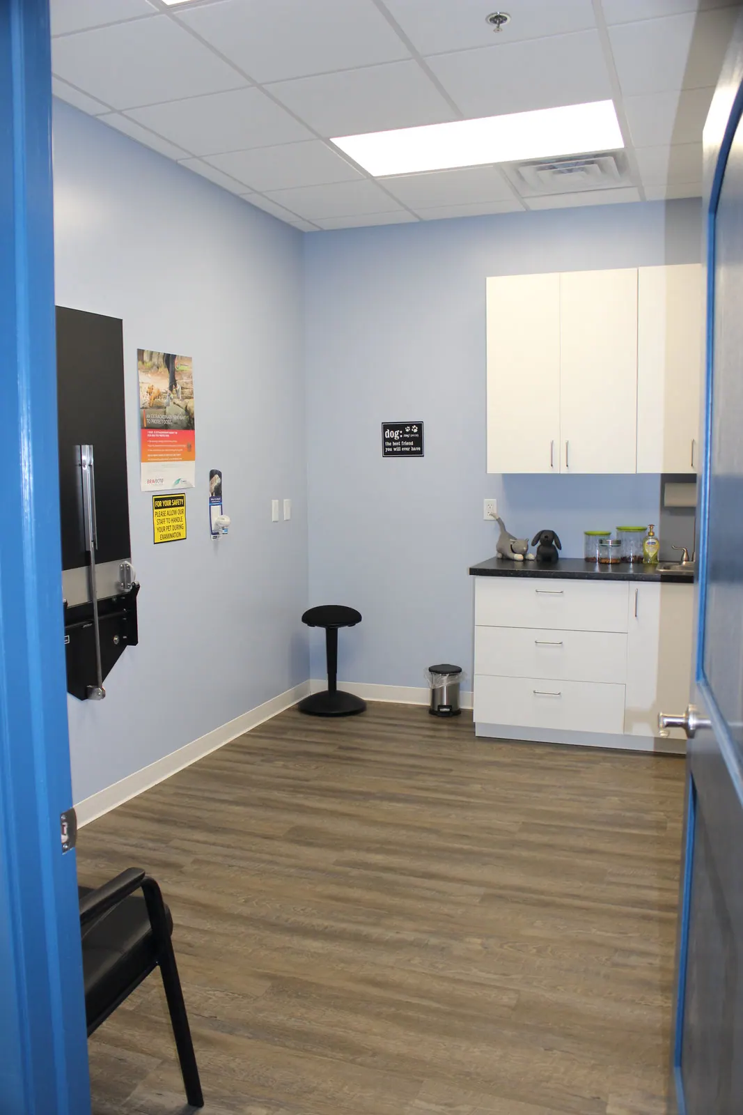 Exam room with wall-mounted table, white cabinets, and pet health poster
